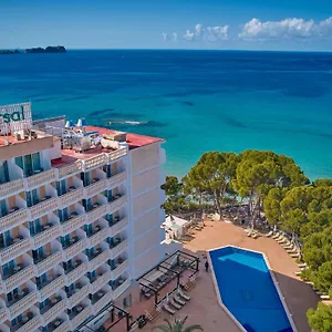 book here
